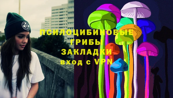 хмурый Абинск