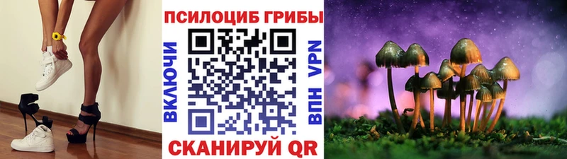 hydra онион  Собинка  Псилоцибиновые грибы Cubensis 